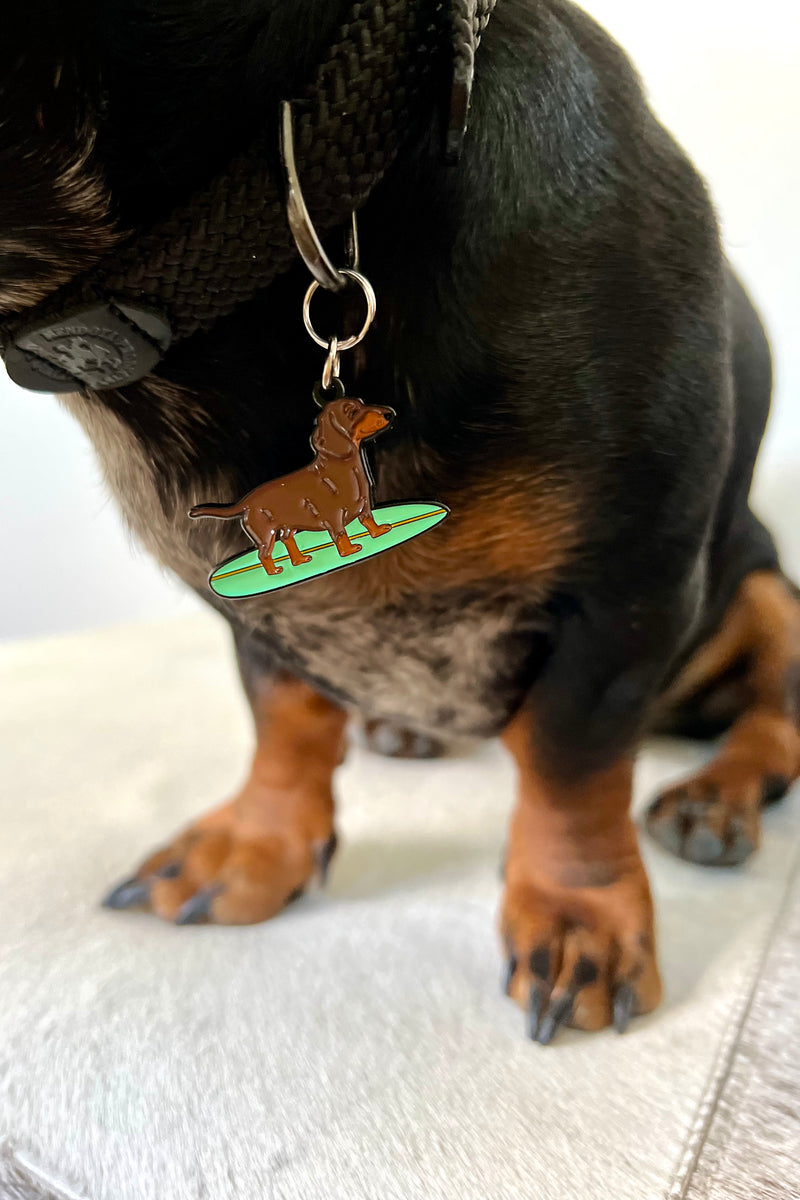 SYLTER SURFING DOG TAG